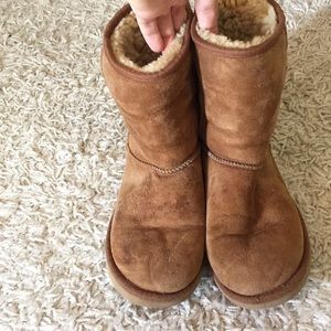 Chestnut short original uggs